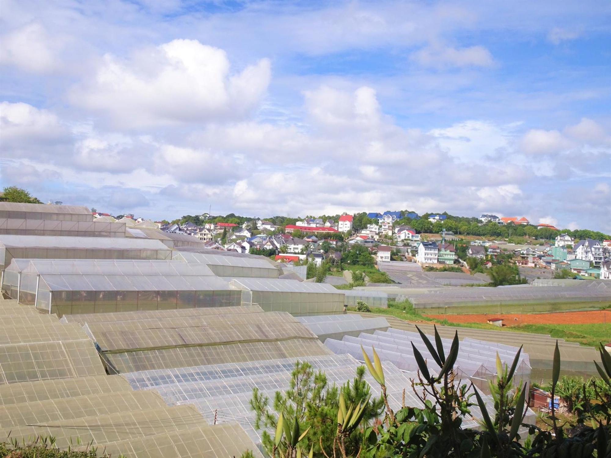 Mento Villa 大叻 外观 照片