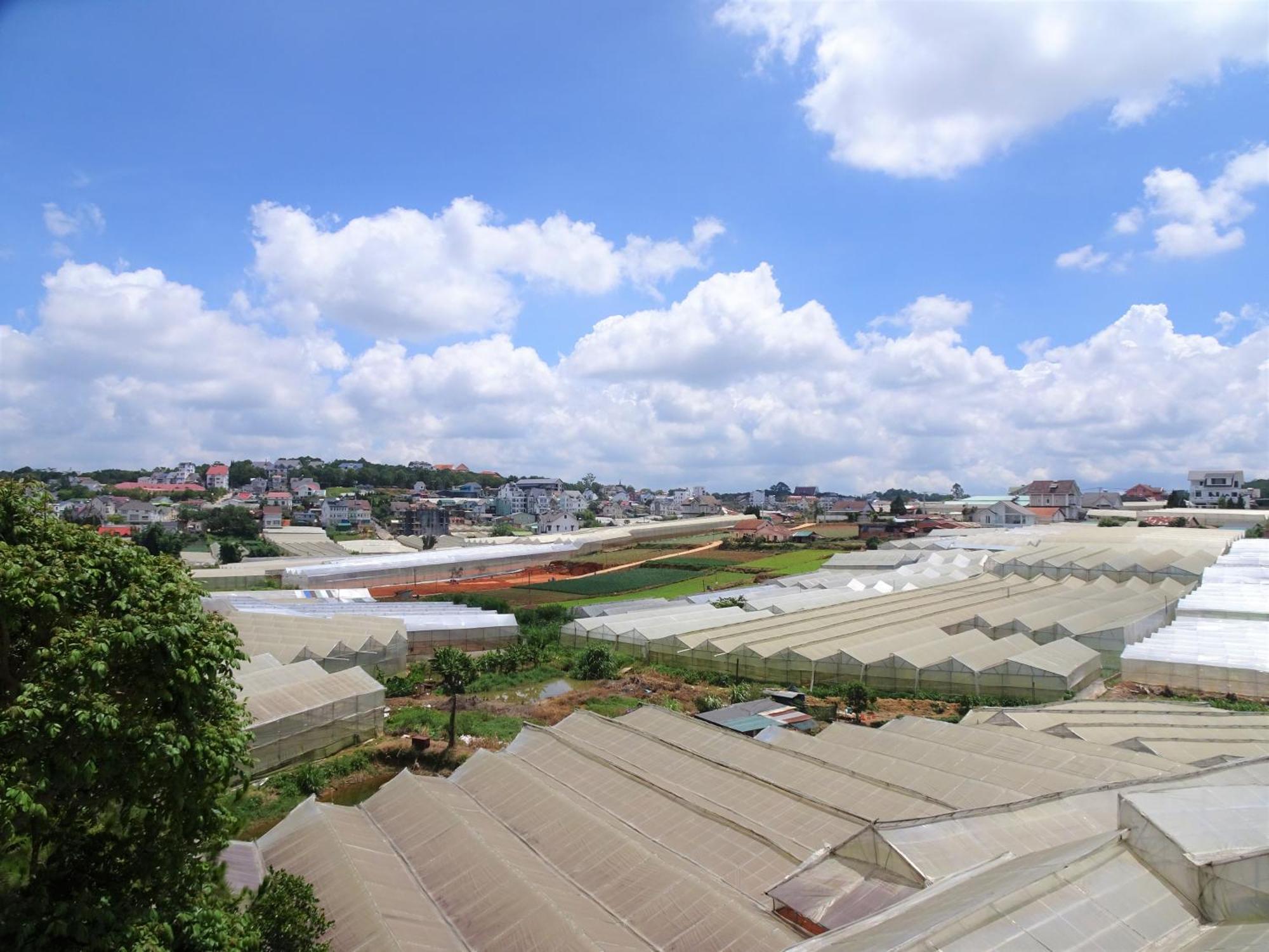Mento Villa 大叻 外观 照片