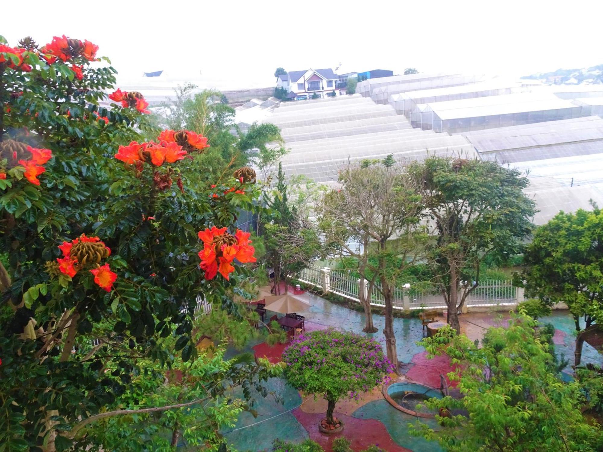 Mento Villa 大叻 外观 照片